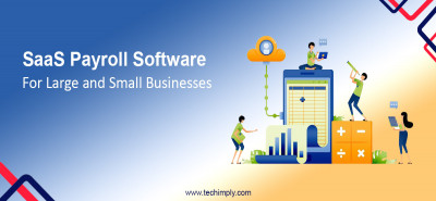 Best SaaS Payroll Software For Large And Small Businesses
